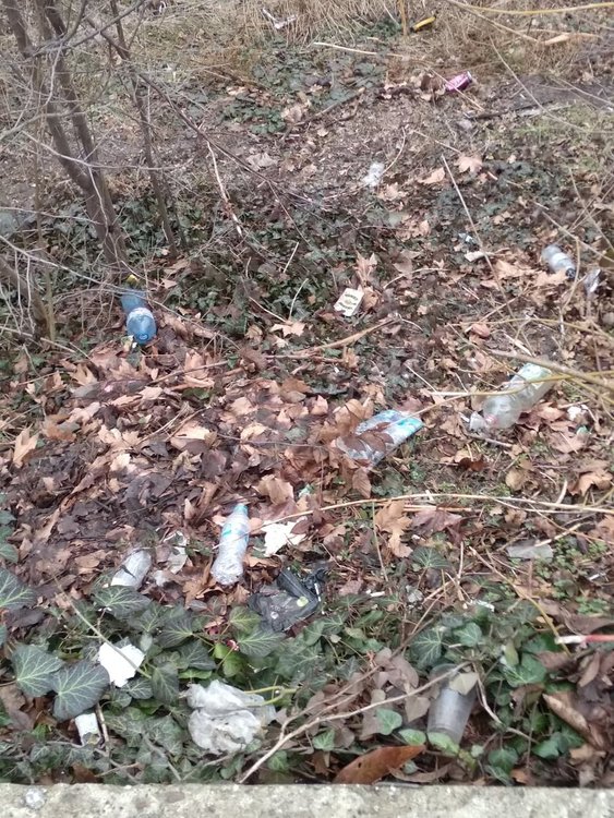 Хасковлия: Под монумента Света Богородица се образува сметище