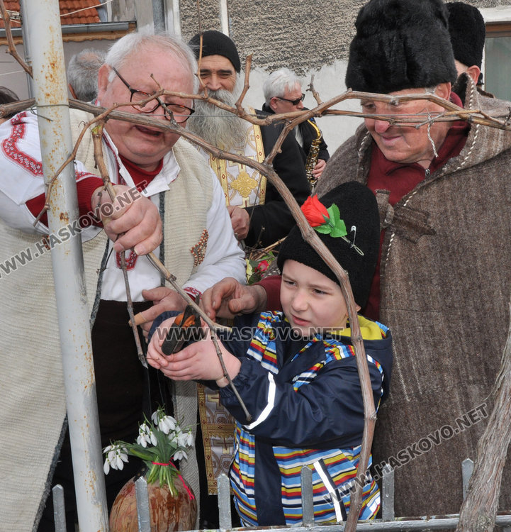 Готвят 5-годишният Теодор за цар на лозята в Голямо Асеново