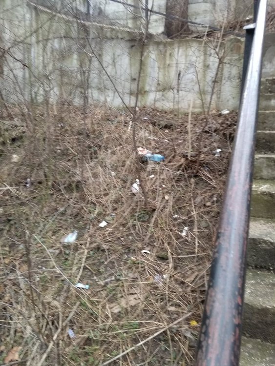 Хасковлия: Под монумента Света Богородица се образува сметище