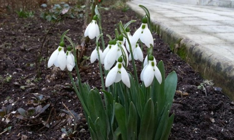 Пролетно време в неделя
