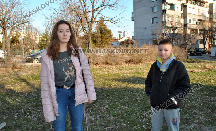 Бизнесмен вдига кооперация в парк. Общината: това е парцел