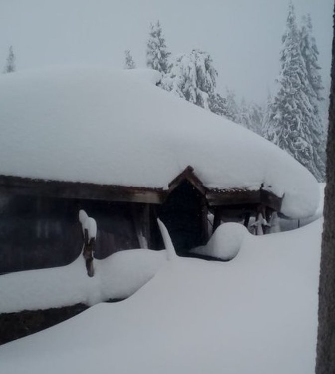 Снимките ни изпрати самата София. Хотелът едва се вижда в преспите, но доброволци са ги извървели пеш, за да помогнат