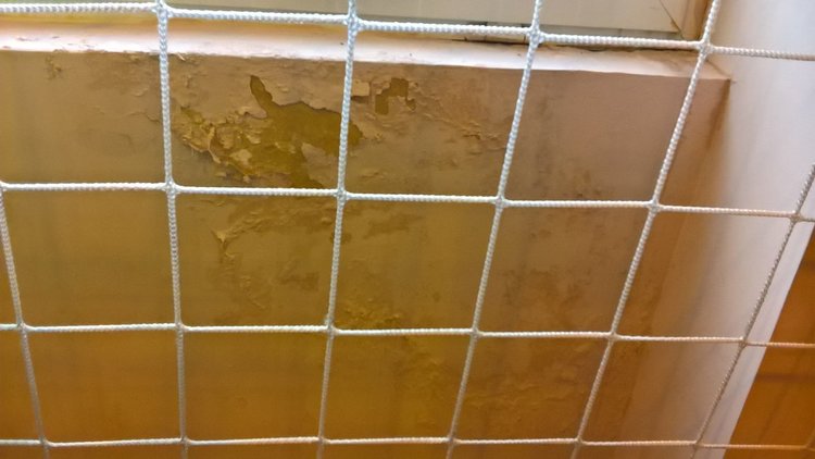 Младежите от ГЕРБ искат отговор защо не работи покрития плувен басейн