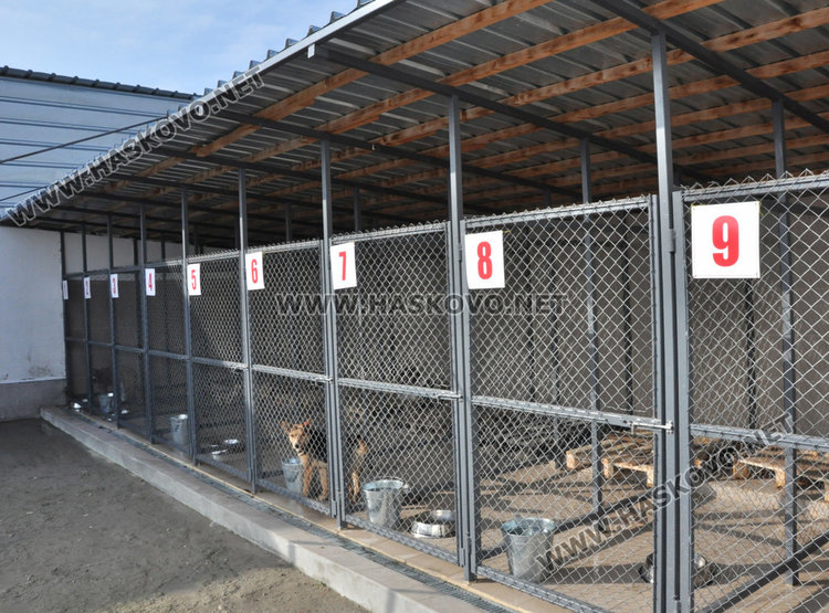 Изтърван питбул нахапа няколко души