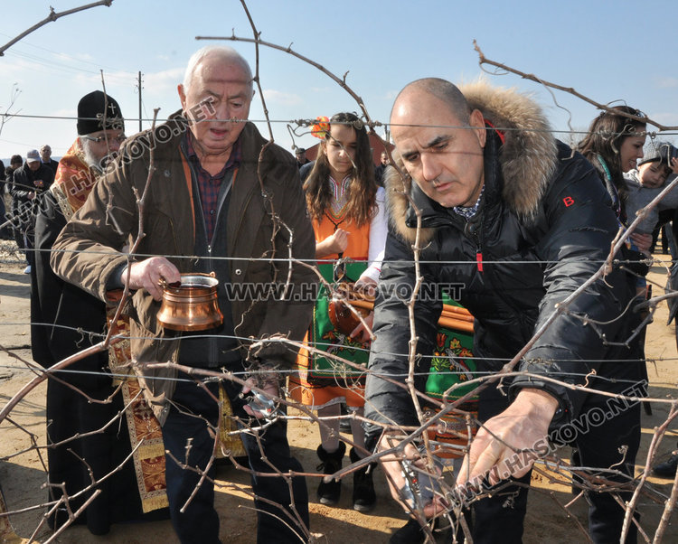 Цветанов и Добрев зарязаха лозята край Харманли, лозарите очакват добра реколта