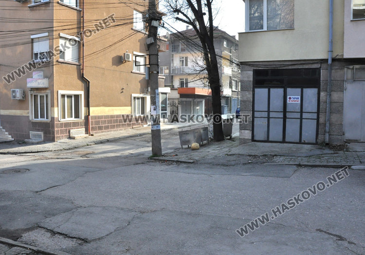 Изтърван питбул нахапа няколко души