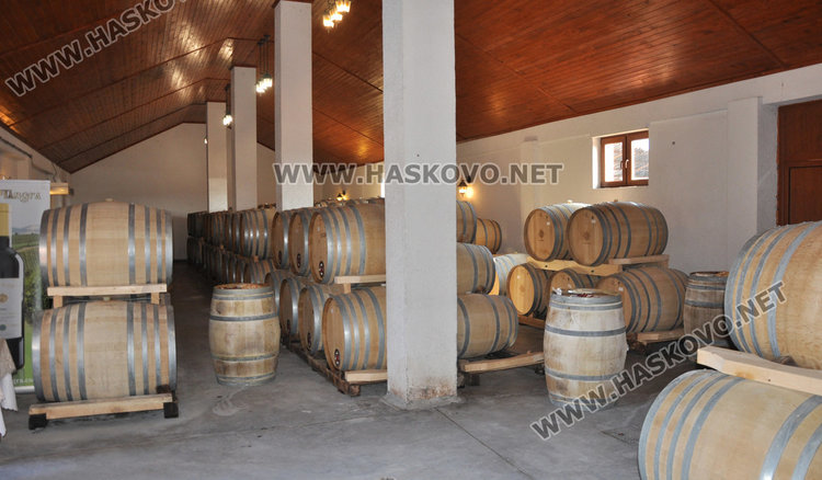 Цветанов и Добрев зарязаха лозята край Харманли, лозарите очакват добра реколта