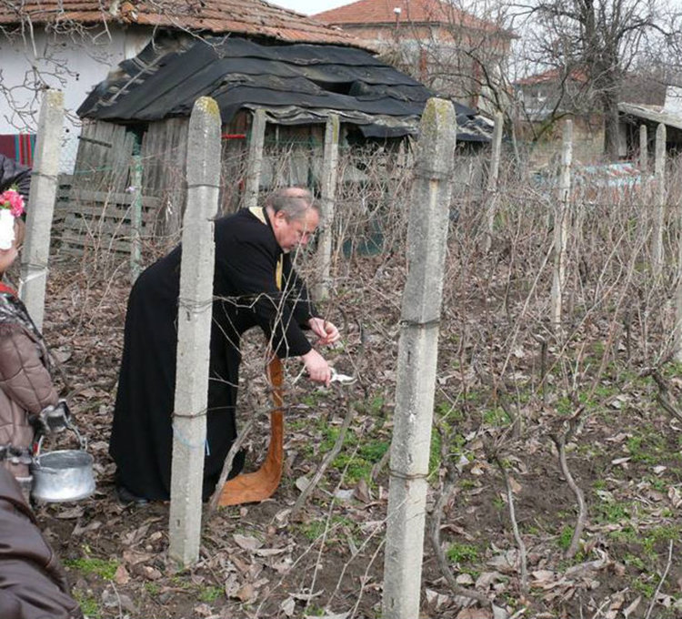 Йордан Рунтев е Царят на виното в Дълбок извор