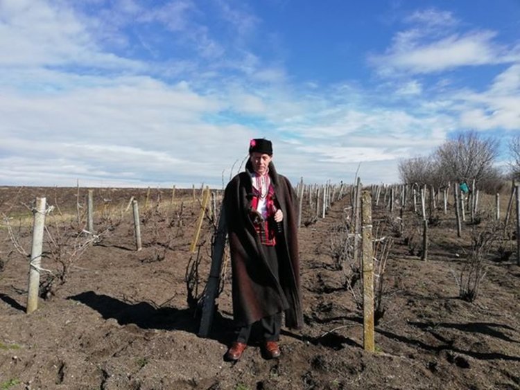 11 винари се състезаваха за най-добро вино в с. Бряст