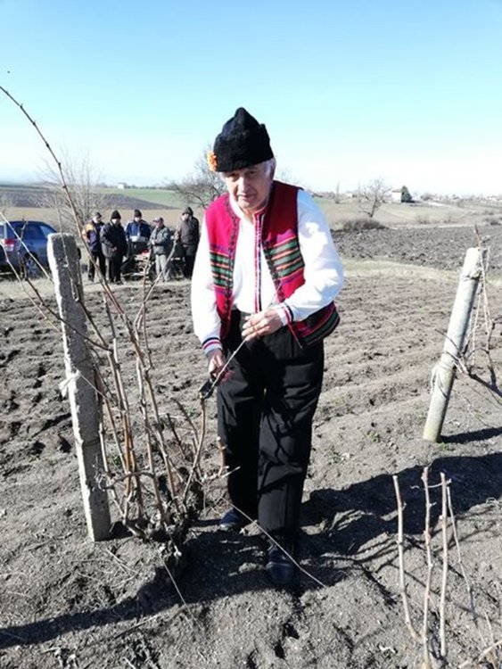 11 винари се състезаваха за най-добро вино в с. Бряст