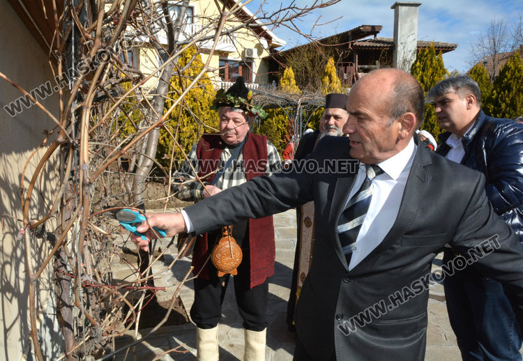 Зарязаха лозята и в димитровградското село Добрич