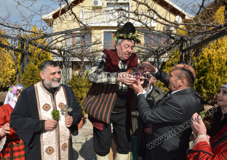 Зарязаха лозята и в димитровградското село Добрич