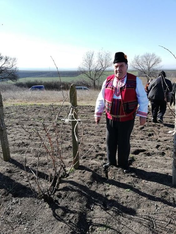 11 винари се състезаваха за най-добро вино в с. Бряст