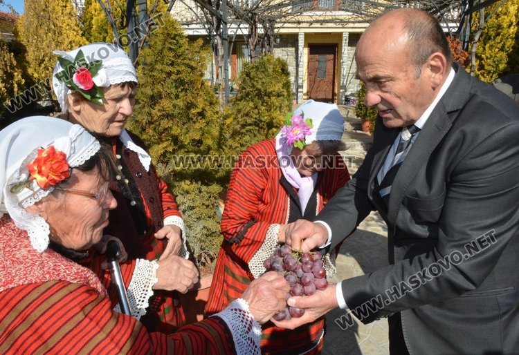 Зарязаха лозята и в димитровградското село Добрич
