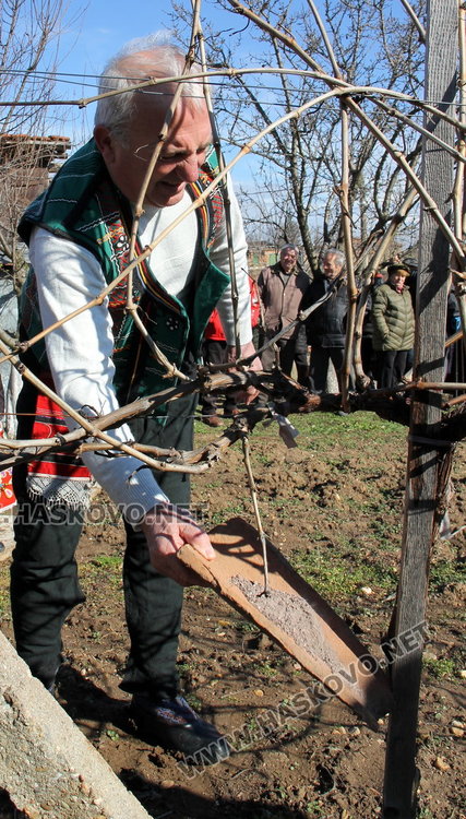 Избраха Цар на Виното в с. Каснаково