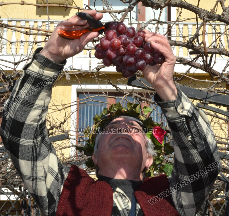 Зарязаха лозята и в димитровградското село Добрич