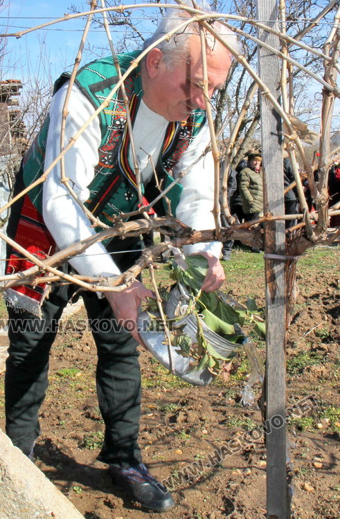 Избраха Цар на Виното в с. Каснаково