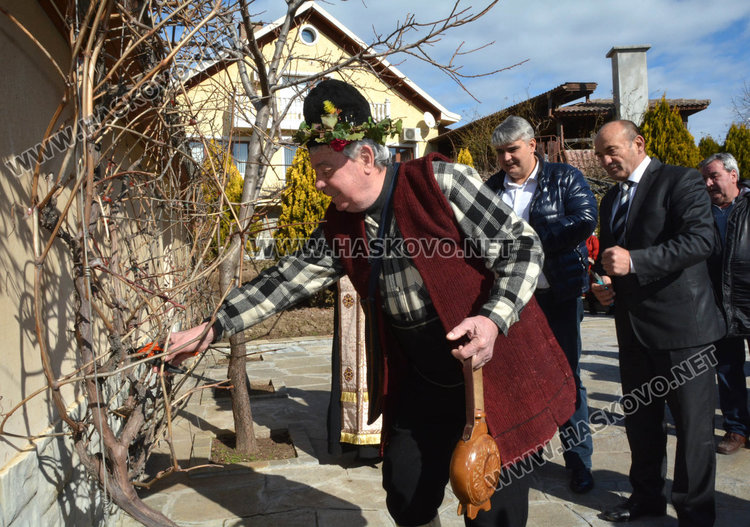 Зарязаха лозята и в димитровградското село Добрич