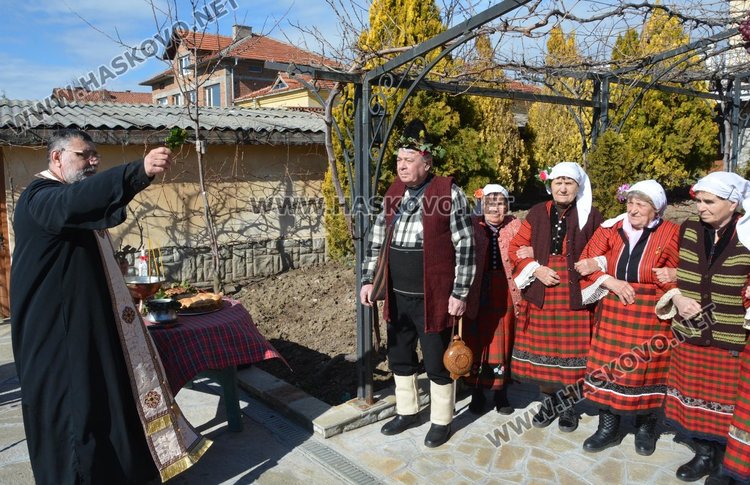 Зарязаха лозята и в димитровградското село Добрич