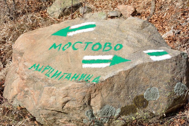 Снимка: Сдружение "Устремени"