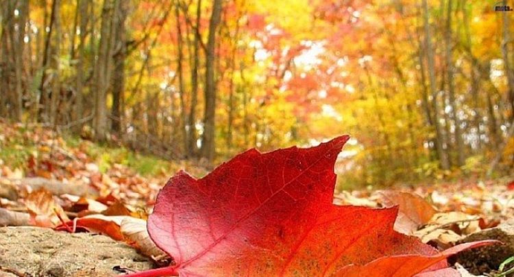 Променлива облачност в събота с покачване на температурата