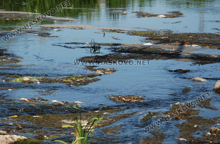 снимка: архив