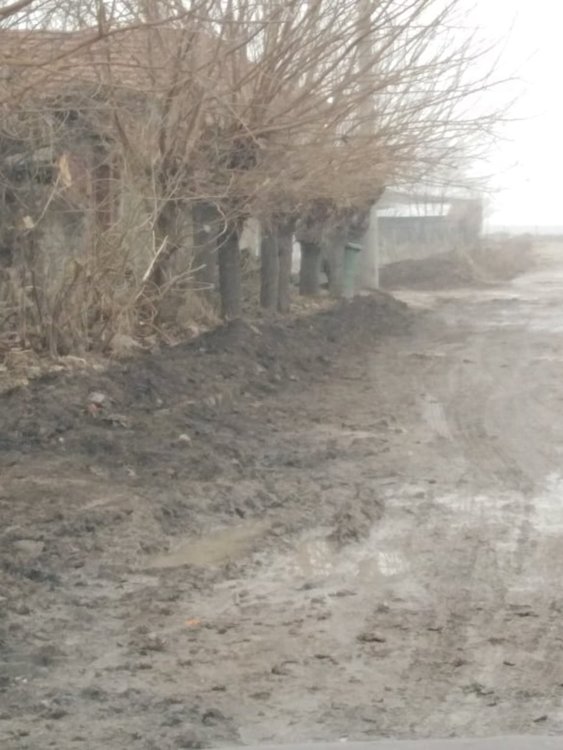 Кметът прехвърля отговорността за ремонт на улица на ОбС