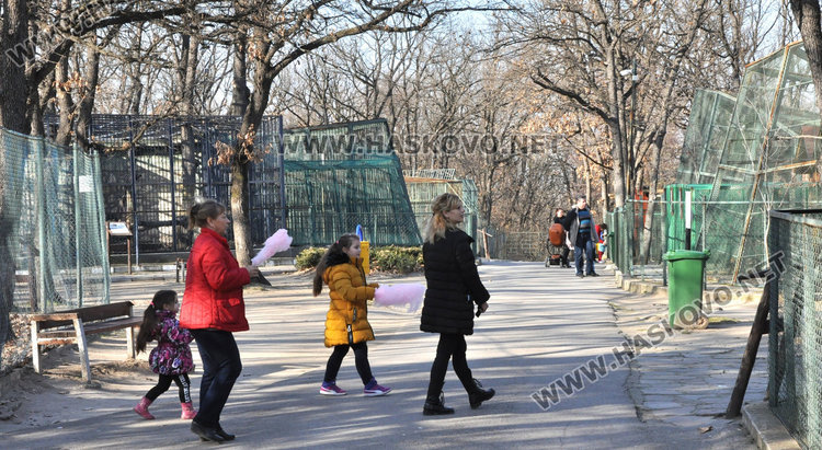 Вълците в зоопарка на Кенана са в добро здраве, показа експертна проверка