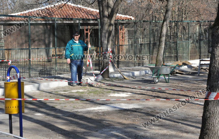 Вълците в зоопарка на Кенана са в добро здраве, показа експертна проверка