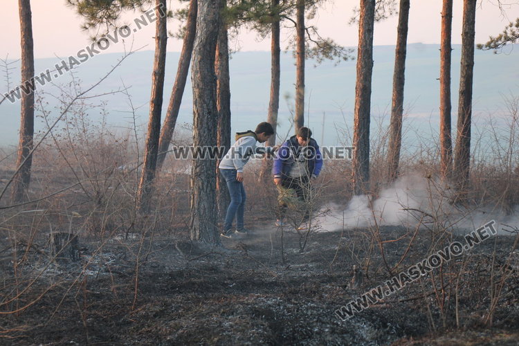 Пожар между димитровградските квартали „Марийно“ и „Изток“ овладян на метри от училище и къщи