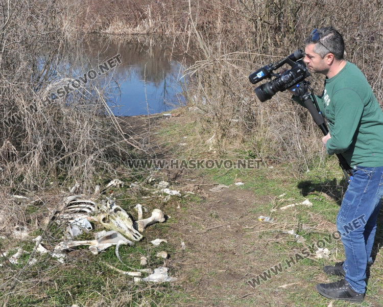 Трупове на кучета, кости и отпадъци гният край река Олудере
