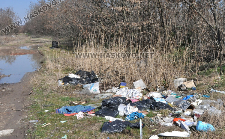 Трупове на кучета, кости и отпадъци гният край река Олудере