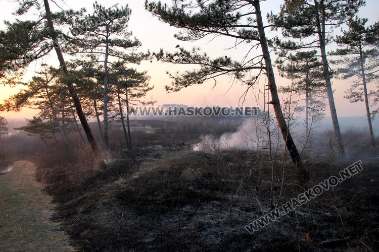 Пожар между димитровградските квартали „Марийно“ и „Изток“ овладян на метри от училище и къщи