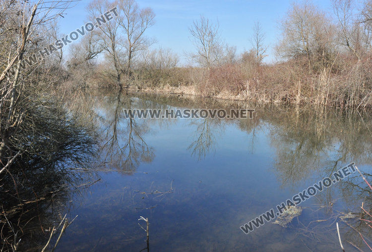 Трупове на кучета, кости и отпадъци гният край река Олудере