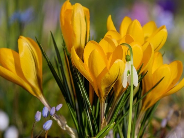  Последният топъл ден за седмицата 