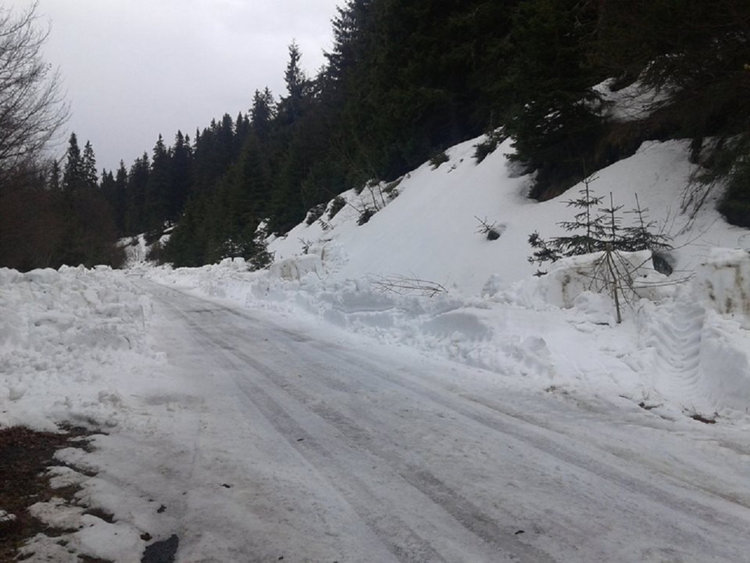 снимката е илюстративна