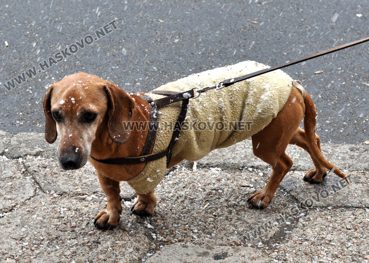 Облачно време и сняг в събота