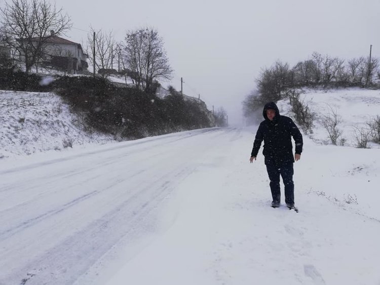 Никола Чанев