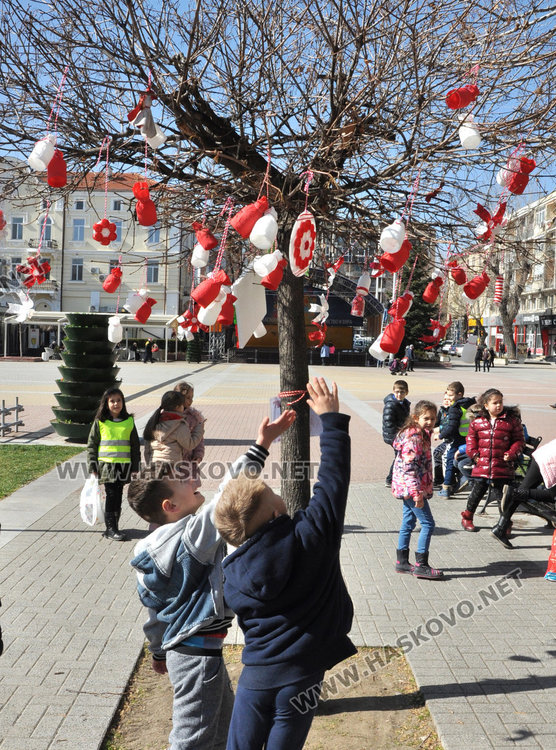 Деца от 13 училища и 11 градини украсиха с мартеници дърветата в Хасково