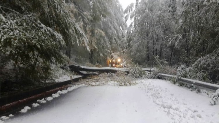 снимката е илюстативна