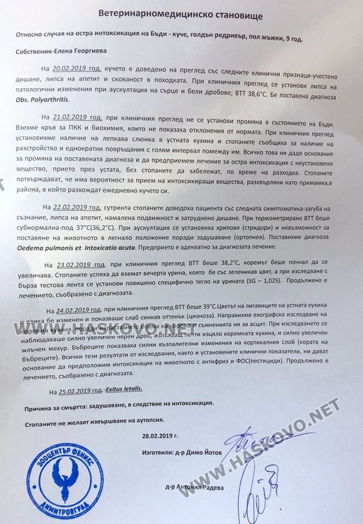 Тровят кучета, котета и птици в центъра на Димитровград - опасно ли е за нашите деца?