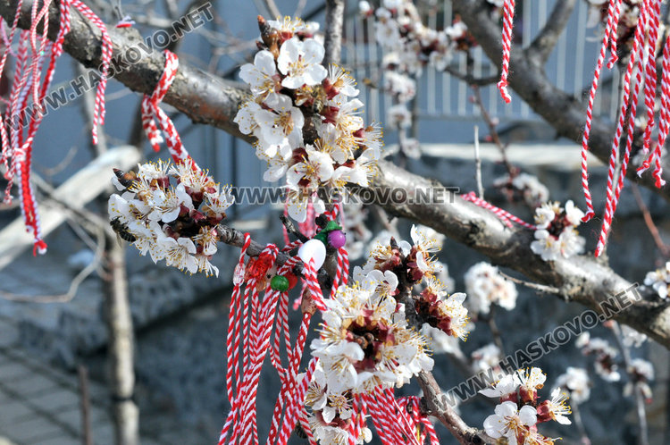 Пролет в сряда