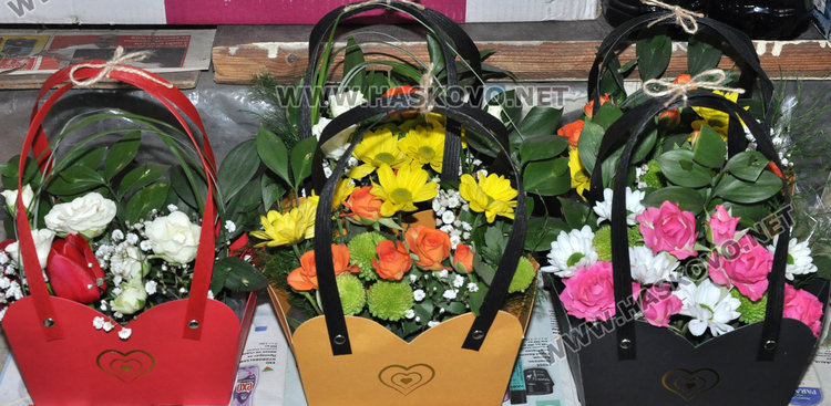 Цвете в саксия предпочитано за 8 март