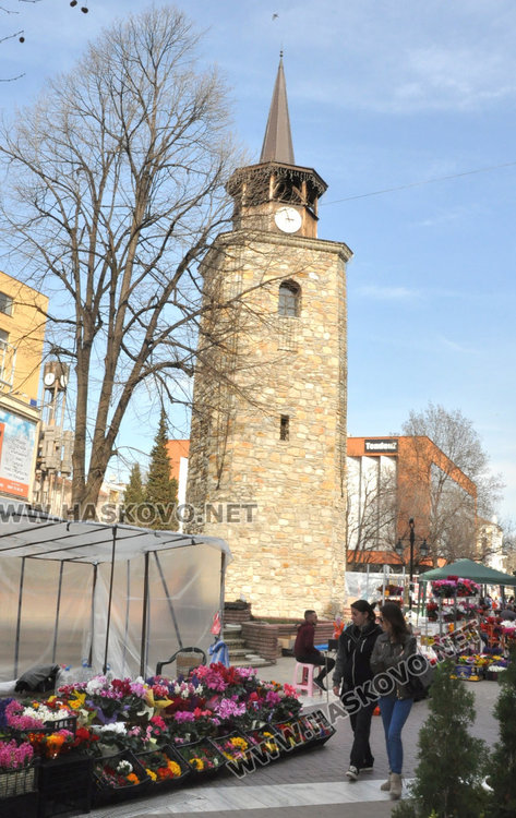 Цвете в саксия предпочитано за 8 март