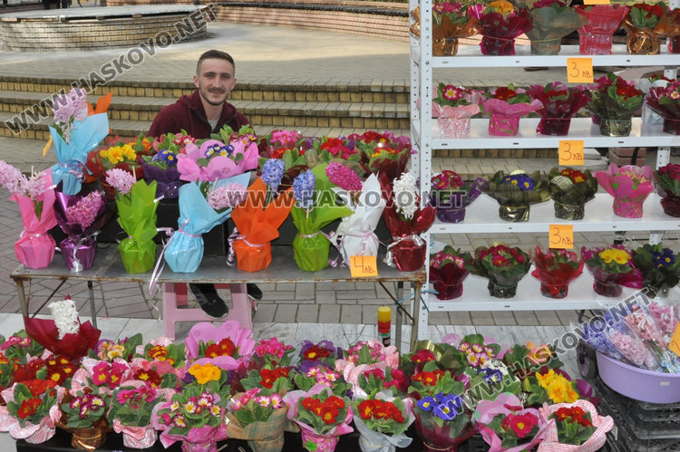 Цвете в саксия предпочитано за 8 март