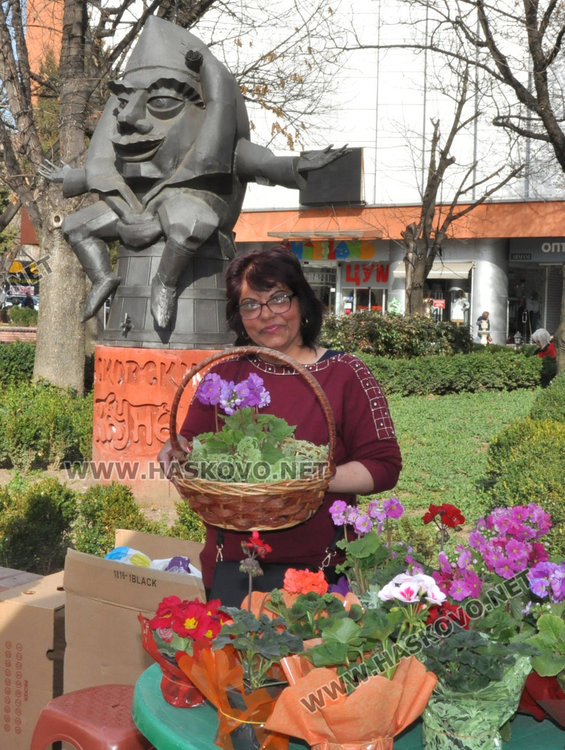 Цвете в саксия предпочитано за 8 март