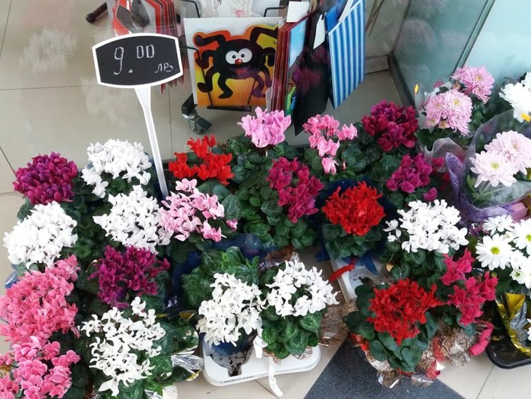 Цветята за 8 март смениха мартеничките