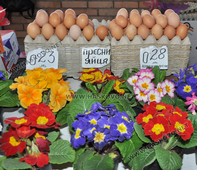 Цвете в саксия предпочитано за 8 март
