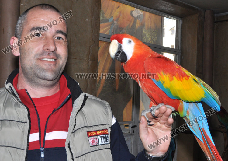 В Хасково показват най-скъпия и най-едър папагал в света