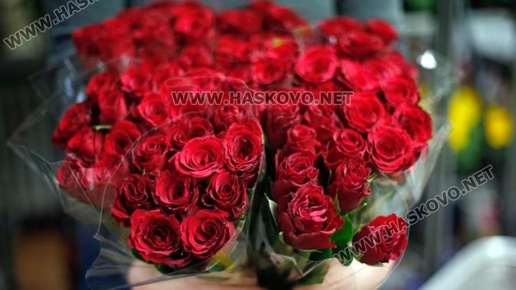 Слънчев осми март